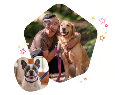 Çeltik Köpek Bakımı - BuddyGo