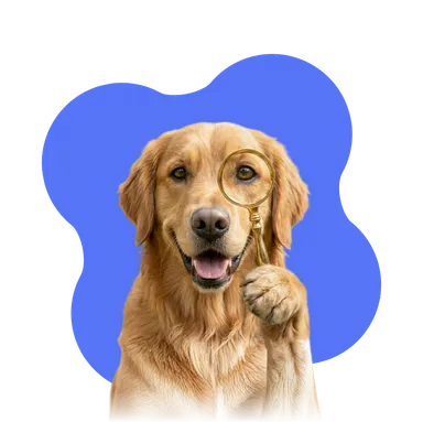 buddygo ücretsiz bakıcı bul
